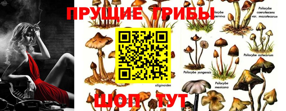 Великий Устюг  Галлюциногенные грибы мухоморы  Вход с VPN  Галлюциногенные грибы Cubensis 